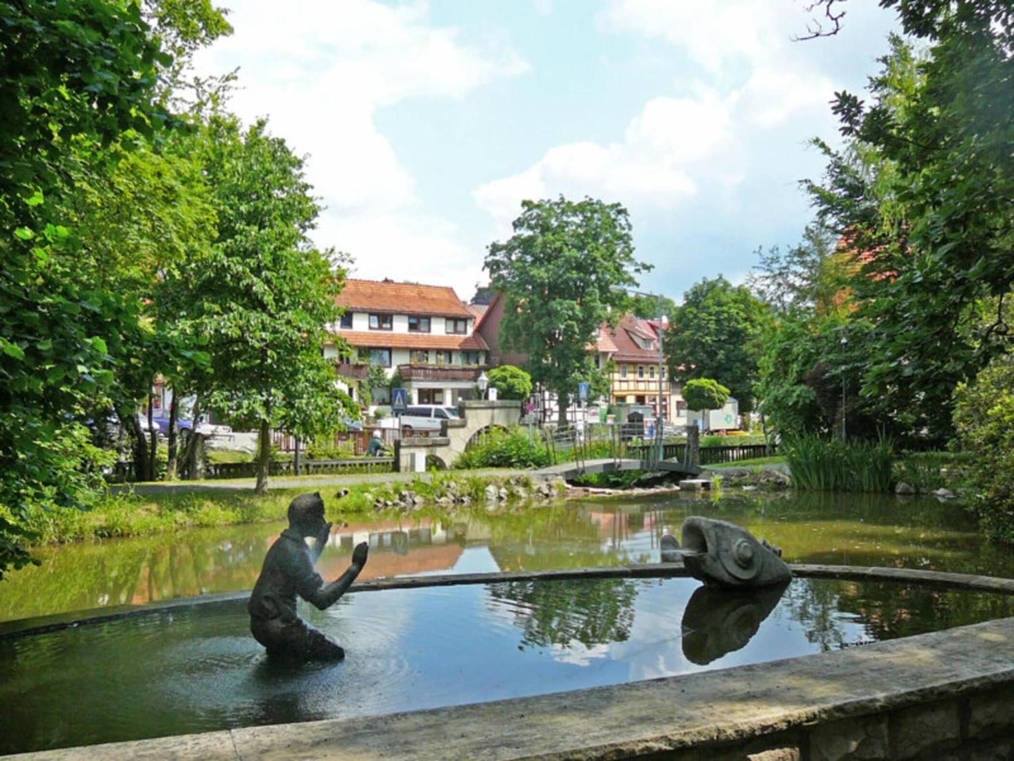 Apartment Jagdschloesschen, Bad Sachsa Buitenkant foto